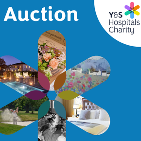 Online Charity Auction Thumb