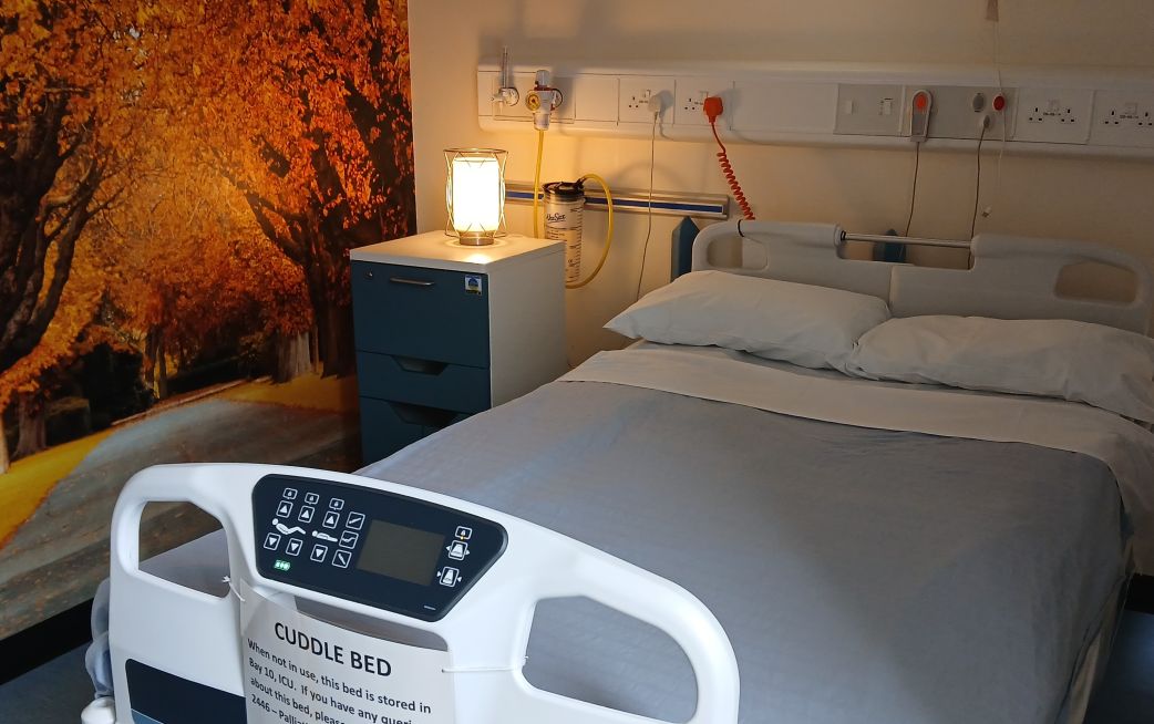 cuddle bed with autumn vinyl on wall