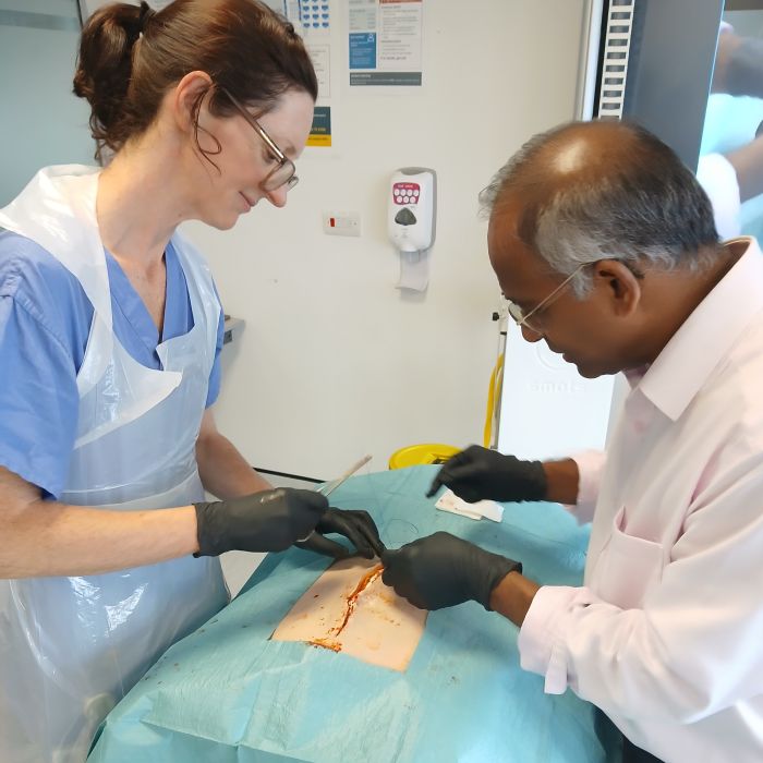 surgeons practicing incisions on silicone belly